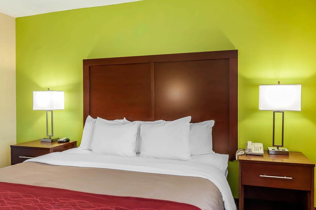 Comfort Inn St Petersburg North St. Petersburg Exteriér fotografie