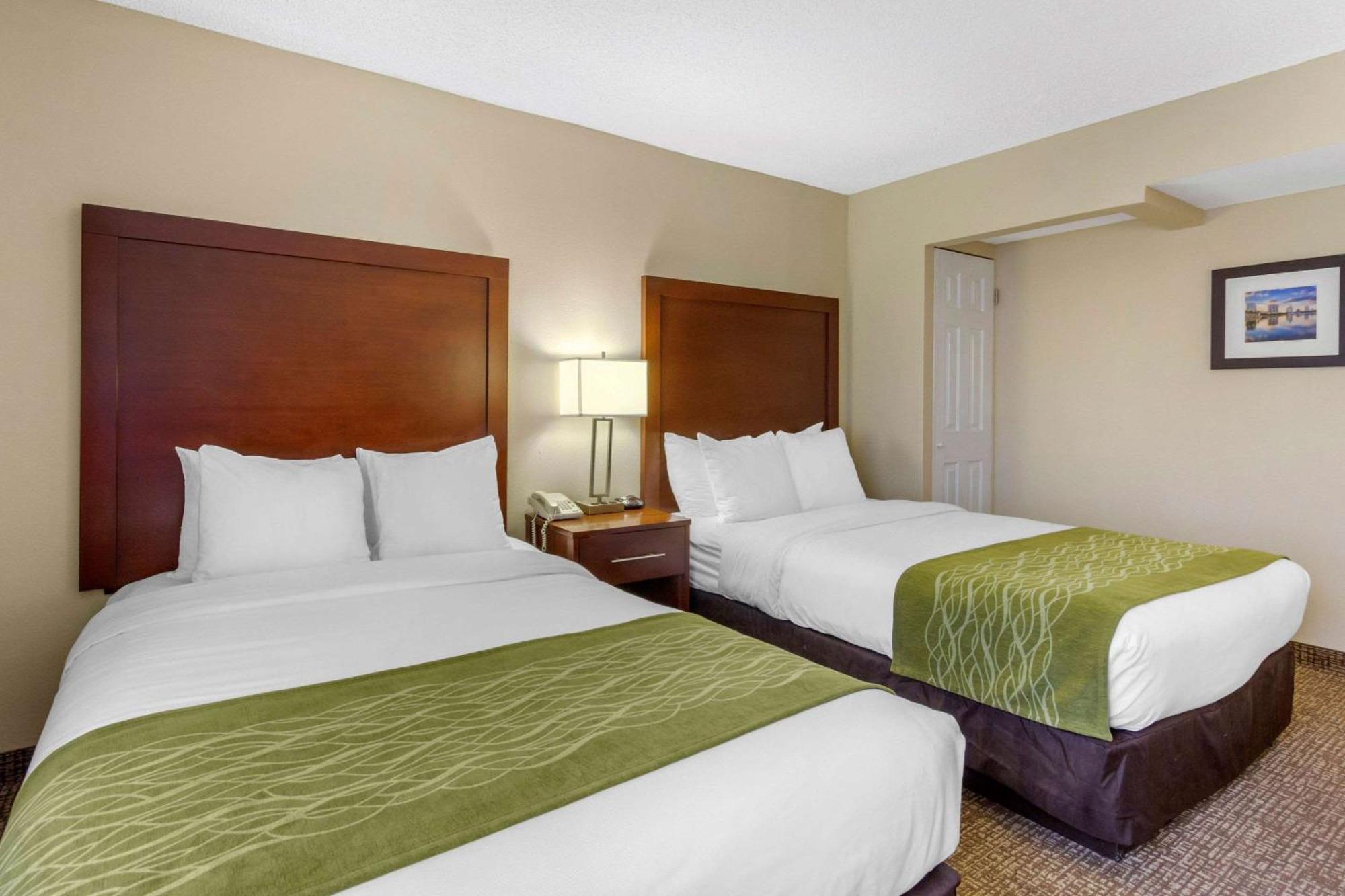 Comfort Inn St Petersburg North St. Petersburg Exteriér fotografie
