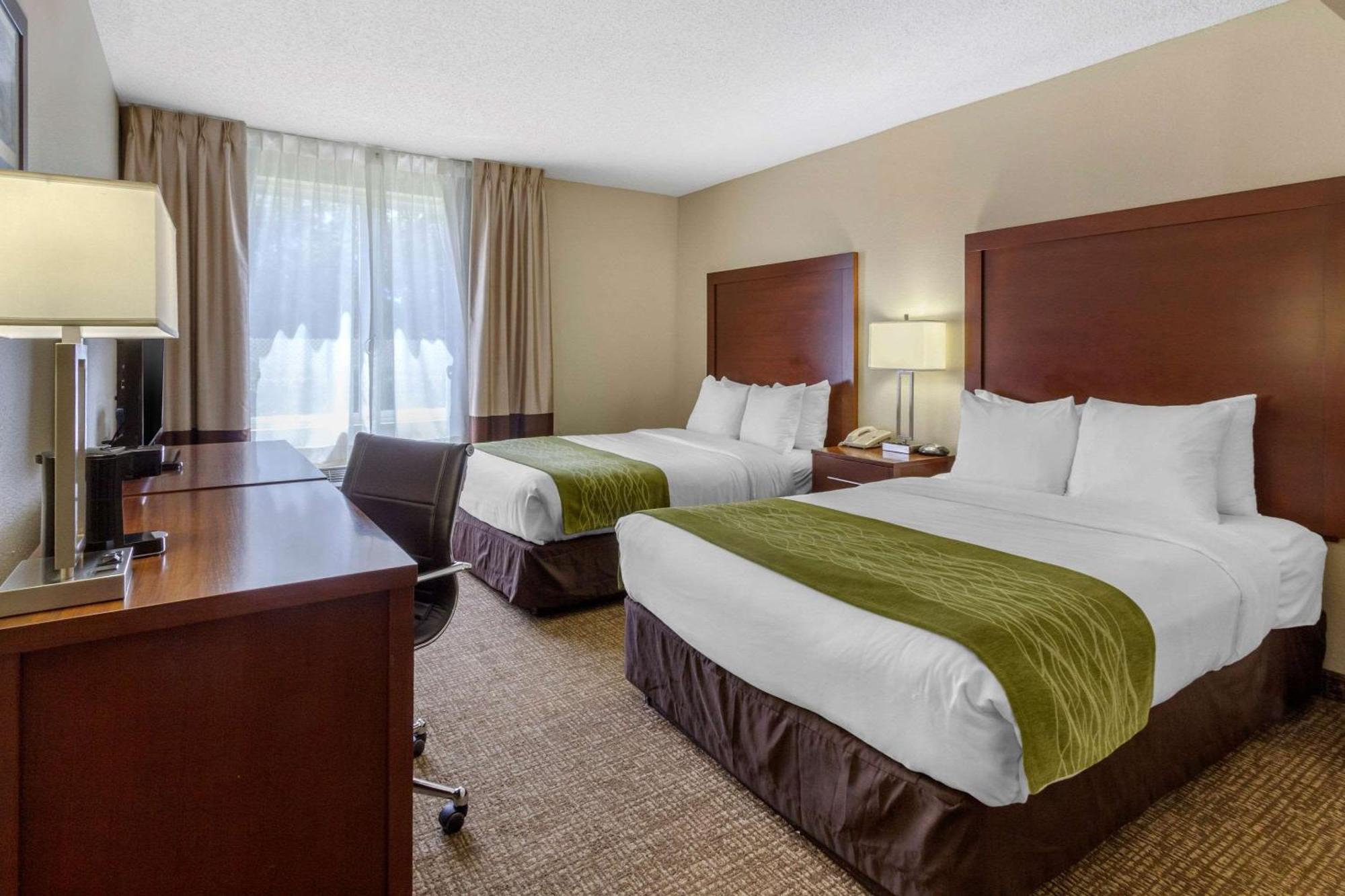 Comfort Inn St Petersburg North St. Petersburg Exteriér fotografie